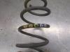 Gebruikte Schroefveer achter Seat Ibiza O206203