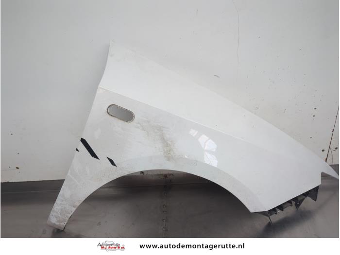 Gebruikte Scherm rechts-voor Seat Ibiza O207895