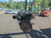 Gebruikte Motor Ford Focus O208967