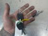 Gebruikte Deurslot Cilinder links Volkswagen Fox O209807