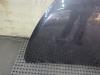 Gebruikte Motorkap Renault Trafic O210236