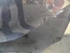 Gebruikte Portier 2Deurs rechts Renault Trafic O210238