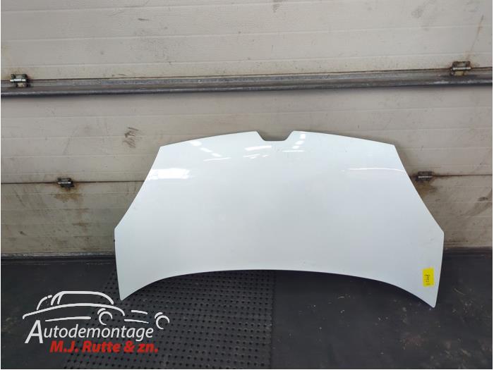 Gebruikte Motorkap Renault Kangoo O210249