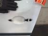 Gebruikte Deur 2Deurs links Renault Kangoo O210251