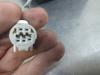 Gebruikte Spiegel Buiten links Daihatsu Sirion O210728