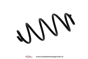 O132115 Nieuwe schroefveer achter Opel Astra