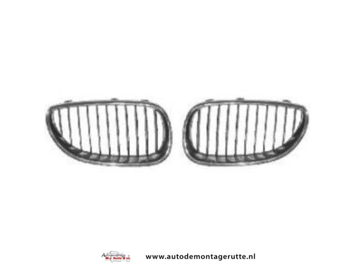 Nieuwe Grille BMW 5-Serie O71363