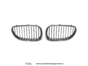 O71363 Nieuwe grille BMW 5-Serie