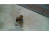 Gebruikte Sensor Snelheid Citroen Xsara O131900
