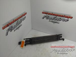 Gebruikte Intercooler Fiat Punto Evo (199) 1.3 JTD Multijet 85 16V Euro 5 Prijs € 49,00 Margeregeling aangeboden door Autodemontage Poelstra B.V.