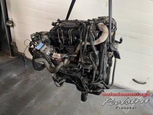 Gebruikte Motor Citroen Berlingo 1.6 Hdi 75 16V Phase 1 Prijs € 640,00 Margeregeling aangeboden door Autodemontage Poelstra B.V.