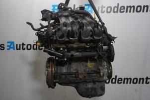 Gebruikte Motor Hyundai i10 (F5) 1.1i 12V Prijs € 675,00 Margeregeling aangeboden door Boels Autodemontage