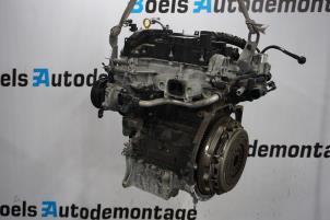 Gebruikte Motor Ford Fiesta 7 1.1 Ti-VCT 12V 70 Prijs € 2.500,00 Margeregeling aangeboden door Boels Autodemontage