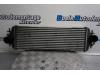 Intercooler van een Nissan Primastar, 2002 1.9 dCi 100, Bestel, Diesel, 1.870cc, 74kW (101pk), FWD, F9Q760, 2002-09 / 2006-08 2005