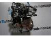 Ford B-Max (JK8) 1.0 EcoBoost 12V 100 Motor
