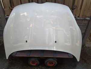 Gebruikte Motorkap Ford Fiesta 6 (JA8) 1.4 TDCi Prijs € 150,00 Margeregeling aangeboden door Autobedrijf Hoogerwerf