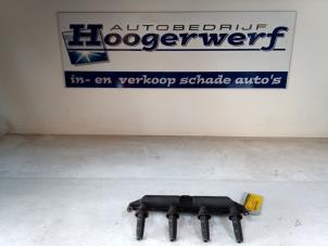 Gebruikte Bobine Peugeot 206 (2A/C/H/J/S) 1.4 XR,XS,XT,Gentry Prijs € 30,00 Margeregeling aangeboden door Autobedrijf Hoogerwerf