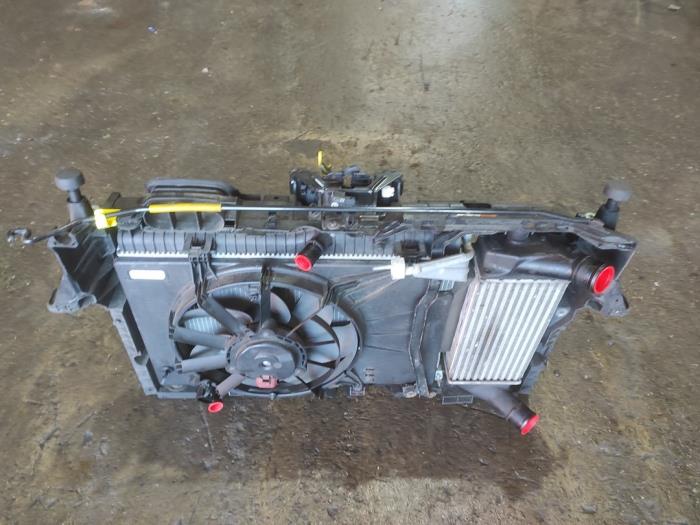 Gebruikte Frontpaneel Ford B-Max (JK8) 1.0 EcoBoost 12V 100 Prijs op aanvraag aangeboden door Benelux Zwijndrecht B.V.