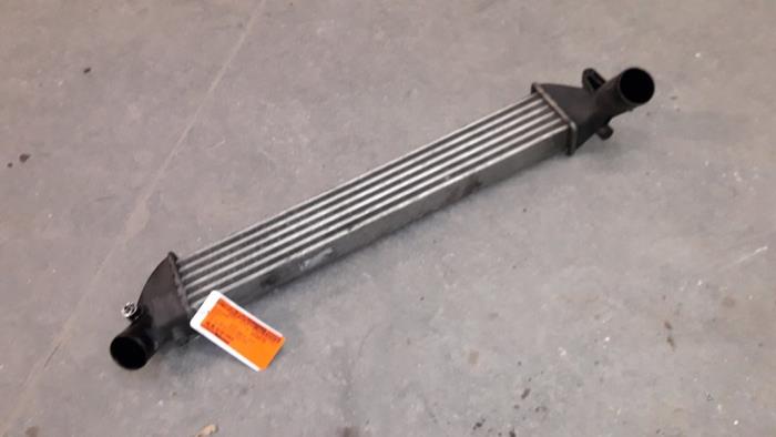 Gebruikte Intercooler Renault Clio II Societe (SB) 1.5 dCi 68 Prijs op aanvraag aangeboden door Autodemontage Joko B.V.