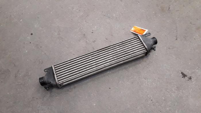 Gebruikte Intercooler Fiat Punto Evo (199) 1.6 JTD Multijet 16V Euro 5 DPF Prijs op aanvraag aangeboden door Autodemontage Joko B.V.