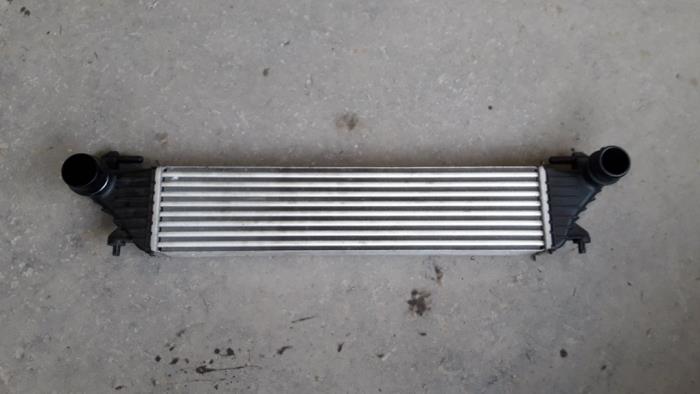 Gebruikte Intercooler Fiat Tipo (356H/357H) 1.6 JTD Multijet II 16V Prijs op aanvraag aangeboden door Autodemontage Joko B.V.