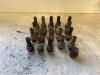 Volkswagen Touareg (7LA/7L6) 3.2 V6 24V Wielbouten set
