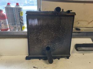Radiateur van een Peugeot 206 (2A/C/H/J/S) 1.1 XN,XR 2002