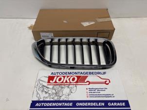 Nieuwe Grille BMW 5 serie Touring (G31) 535i xDrive 3.0 TwinPower Turbo 24V Prijs op aanvraag aangeboden door Autodemontage Joko B.V.