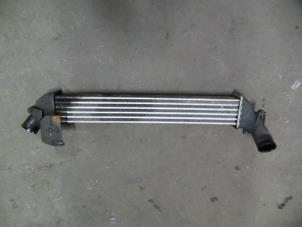 Gebruikte Intercooler Renault Clio II Societe (SB) 1.5 dCi 68 Prijs op aanvraag aangeboden door Autodemontage Joko B.V.