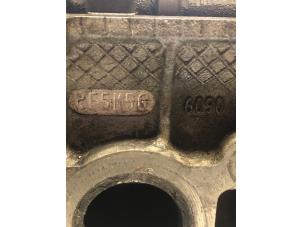 Gebruikte Cilinderkop Ford Focus Prijs € 250,00 Margeregeling aangeboden door Automotoren Trading b.v.