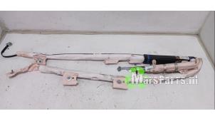 Gebruikte Airbag hemel links Tesla Model S 85 Prijs € 100,00 Margeregeling aangeboden door Autodemontagebedrijf De Mars