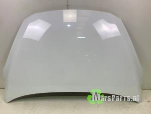 Gebruikte Motorkap Ford Fiesta 7 1.1 Ti-VCT 12V 85 Prijs € 500,00 Margeregeling aangeboden door Autodemontagebedrijf De Mars