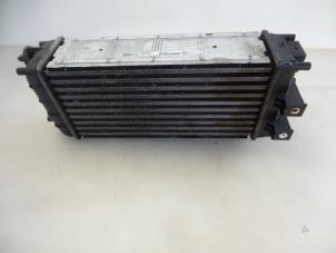 Gebruikte Intercooler Citroen Berlingo 1.6 Hdi 75 Prijs € 48,40 Inclusief btw aangeboden door Autobedrijf Broekhuis B.V.