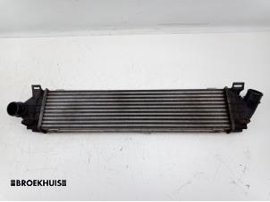 Gebruikte Intercooler Ford Mondeo IV Wagon 2.0 TDCi 140 16V Prijs € 35,00 Margeregeling aangeboden door Autobedrijf Broekhuis B.V.
