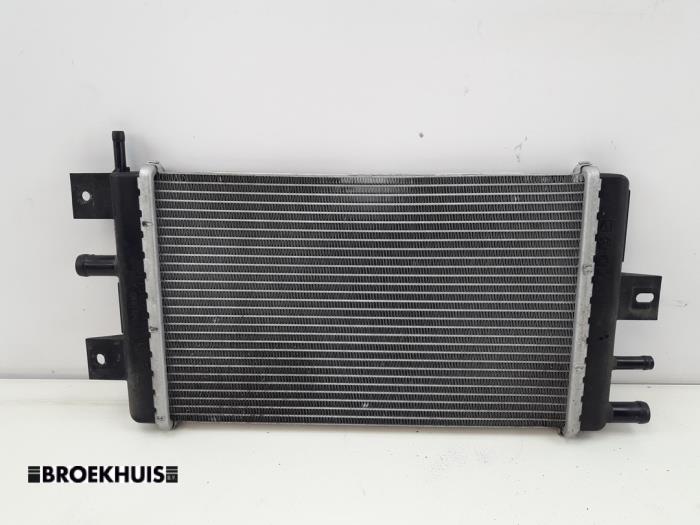 Gebruikte Radiateur Dacia Spring 45 Prijs € 70,00 Margeregeling aangeboden door Autobedrijf Broekhuis B.V.