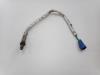 Lambda Sonde van een Land Rover Range Rover Sport (L1) 3.0 V6 P460e 2024