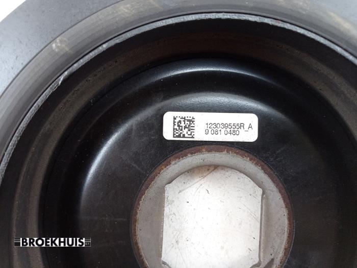 Krukas Poelie van een Renault Trafic (1FL/2FL/3FL/4FL) 2.0 dCi 16V 130 2023