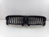 BMW 5 serie (G30) 540i 3.0 TwinPower Turbo 24V Grille