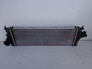 Gebruikte Intercooler Renault Trafic New (FL) 2.0 dCi 16V 90 Prijs € 40,00 Margeregeling aangeboden door Autobedrijf Broekhuis B.V.