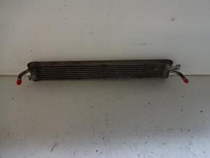 Gebruikte Radiateur Landrover Defender I 2.5 TD5 Prijs € 25,00 Margeregeling aangeboden door Autobedrijf Broekhuis B.V.