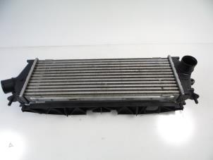 Gebruikte Intercooler Renault Trafic New (FL) 2.5 dCi 16V 115 FAP Prijs € 48,40 Inclusief btw aangeboden door Autobedrijf Broekhuis B.V.
