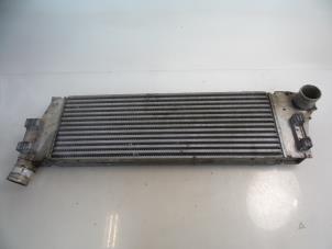 Gebruikte Intercooler Renault Grand Scénic II (JM) 1.5 dCi 105 Prijs € 40,00 Margeregeling aangeboden door Autobedrijf Broekhuis B.V.