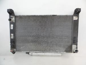 Gebruikte Radiateur Mercedes A (W169) 2.0 A-200 CDI 16V Prijs € 25,00 Margeregeling aangeboden door Autobedrijf Broekhuis B.V.