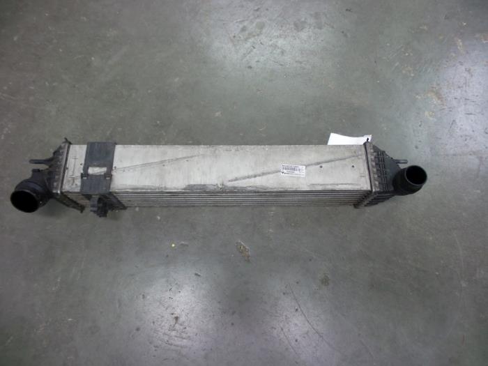 Gebruikte Intercooler Renault Laguna III Estate (KT) 2.0 dCi 16V 150 Prijs € 40,00 Margeregeling aangeboden door Autobedrijf Broekhuis B.V.
