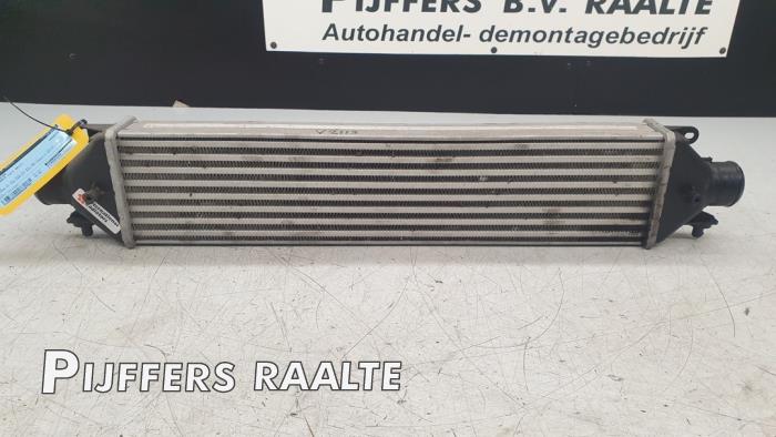 Gebruikte Intercooler Fiat Doblo Cargo (263) 1.3 MJ 16V DPF Euro 5 Prijs € 50,00 Margeregeling aangeboden door Pijffers B.V. Raalte