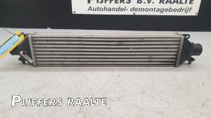 Gebruikte Intercooler Fiat Doblo Cargo (263) 1.3 MJ 16V DPF Euro 5 Prijs € 50,00 Margeregeling aangeboden door Pijffers B.V. Raalte
