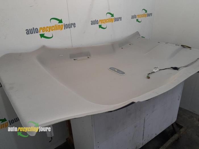 Hemelbekleding van een Ford B-Max (JK8) 1.0 EcoBoost 12V 100 2015