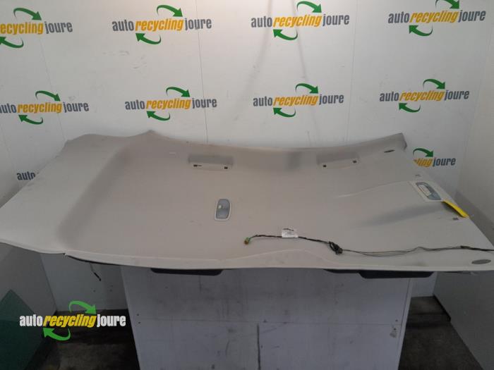 Hemelbekleding van een Ford B-Max (JK8) 1.0 EcoBoost 12V 100 2015