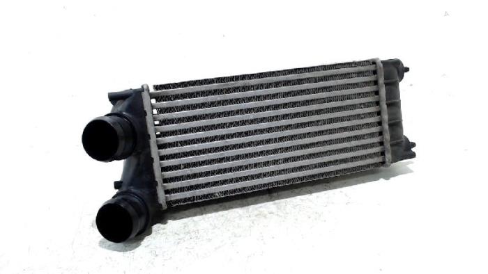Gebruikte Intercooler Citroen C4 Prijs € 13,00 Margeregeling aangeboden door Van der Ven Autorecycling B.V.