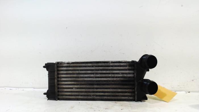 Gebruikte Intercooler Citroen DS4 Prijs € 13,00 Margeregeling aangeboden door Van der Ven Autorecycling B.V.